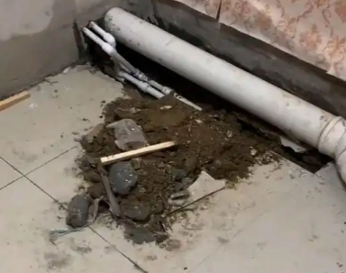 双鸭山市卫生间漏水检测哪家好
