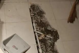 双鸭山市卫生间漏水检测电话
